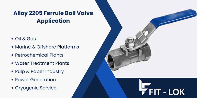 Alloy 2205 Ferrule Ball Valve application Alloy 2205 Ferrule Ball Valve application