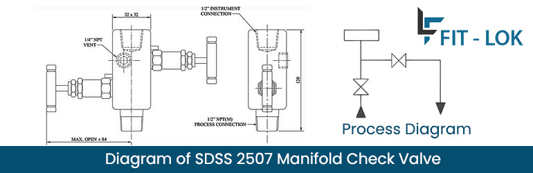 Diagram of SDSS 2507 manifold check valve
