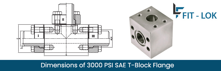 Dimensions of 3000 PSI SAE T-Block Flange