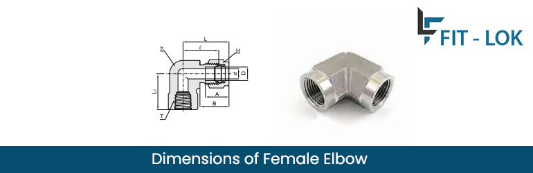 Dimensions of Female Elbow Dimensions of Female Elbow