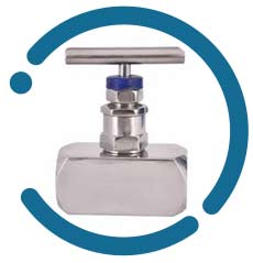 Duplex Instrument Needle Valve Duplex Instrument Needle Valve