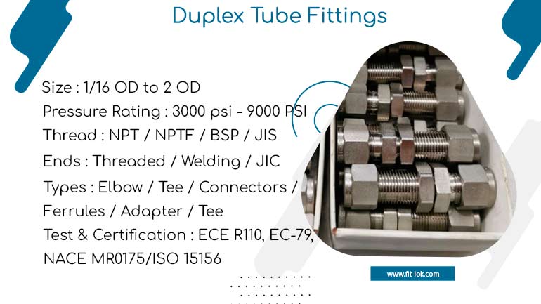 Duplex tube fittings