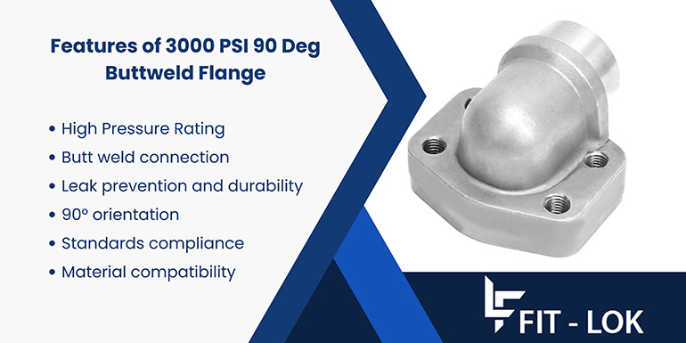 Features of 3000 PSI 90 deg buttweld flange