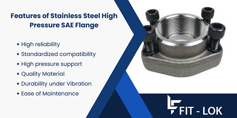 Features of Stainless Steel High Pressure SAE Flange